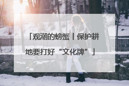 观潮的螃蟹丨保护耕地要打好“文化牌”